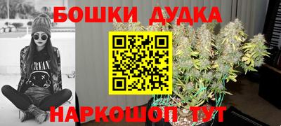 дживик Донской
