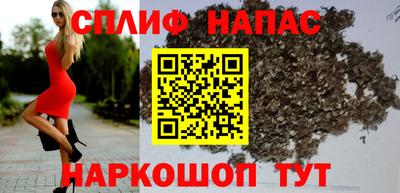 стафф Дубна