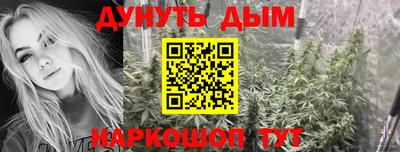 стафф Дубна